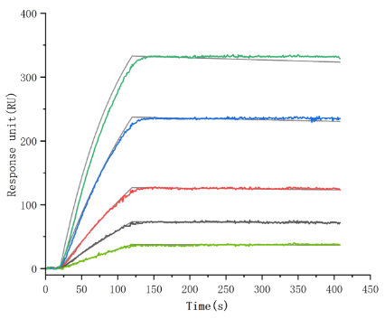 Antibody-Antigen Interactions