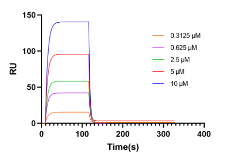 Small Molecule Interactions